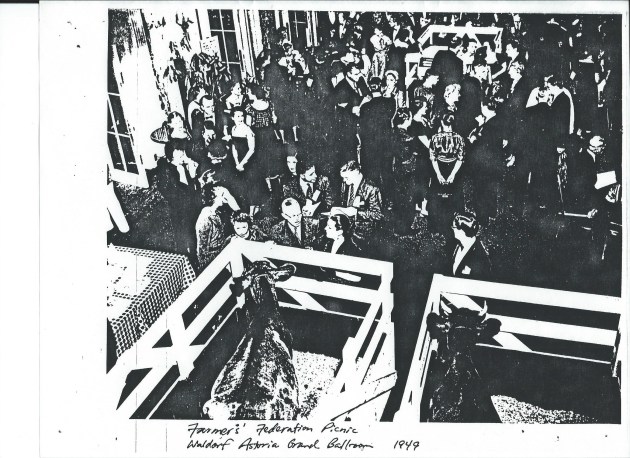 IBM Farmers Federation